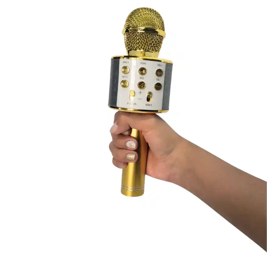Micrófono Parlante Karaoke Bluetooth Portátil Inalámbrico
