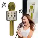 Micrófono Parlante Karaoke Bluetooth Portátil Inalámbrico