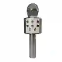 Micrófono Parlante Karaoke Bluetooth Portátil Inalámbrico