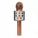Micrófono Parlante Karaoke Bluetooth Portátil Inalámbrico