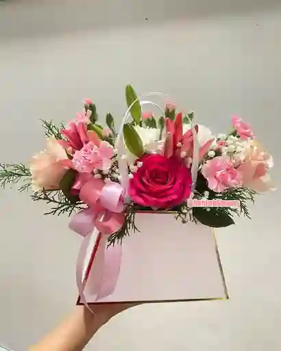 “dulzura Rosada” 🌸🎀