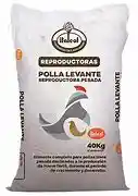 Italcol Polla Levante * 40 Kg