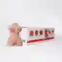 Torso Realista Merit Masturbador Masculino Ano Y Vagina Camtoyz