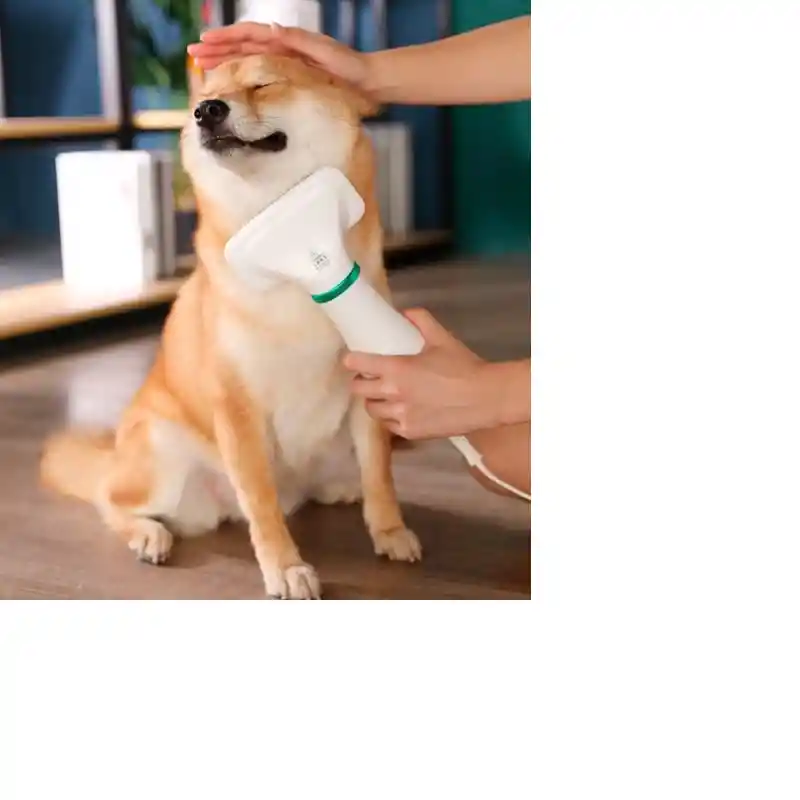 Cepillo Para Perro