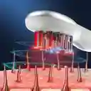 Peine Láser Para El Crecimiento Del Cabello, Terapia De Luz