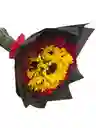 Girasoles Y Rosas Rojas En Ramo