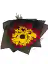 Girasoles Y Rosas Rojas En Ramo