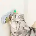 3 + 1 Spin Ball