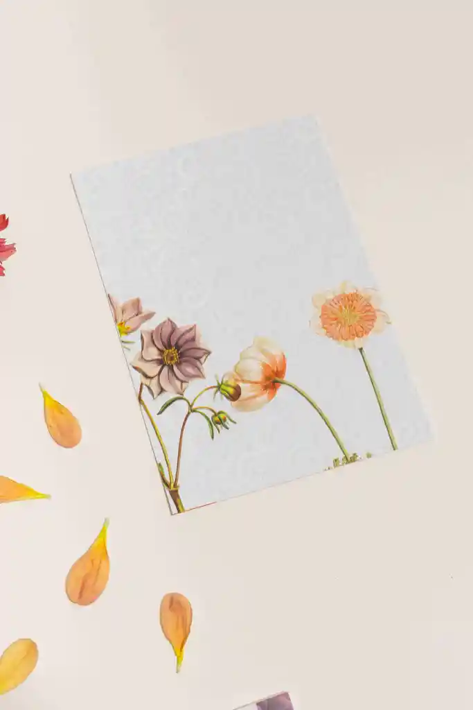 Tarjetas 12.5x9 Cm