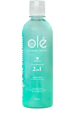 Shampoo 2 En 1