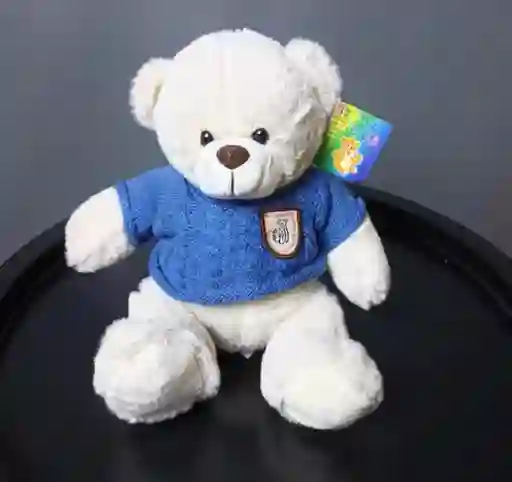 Juguete Peluche Con Diseño De oso Grande