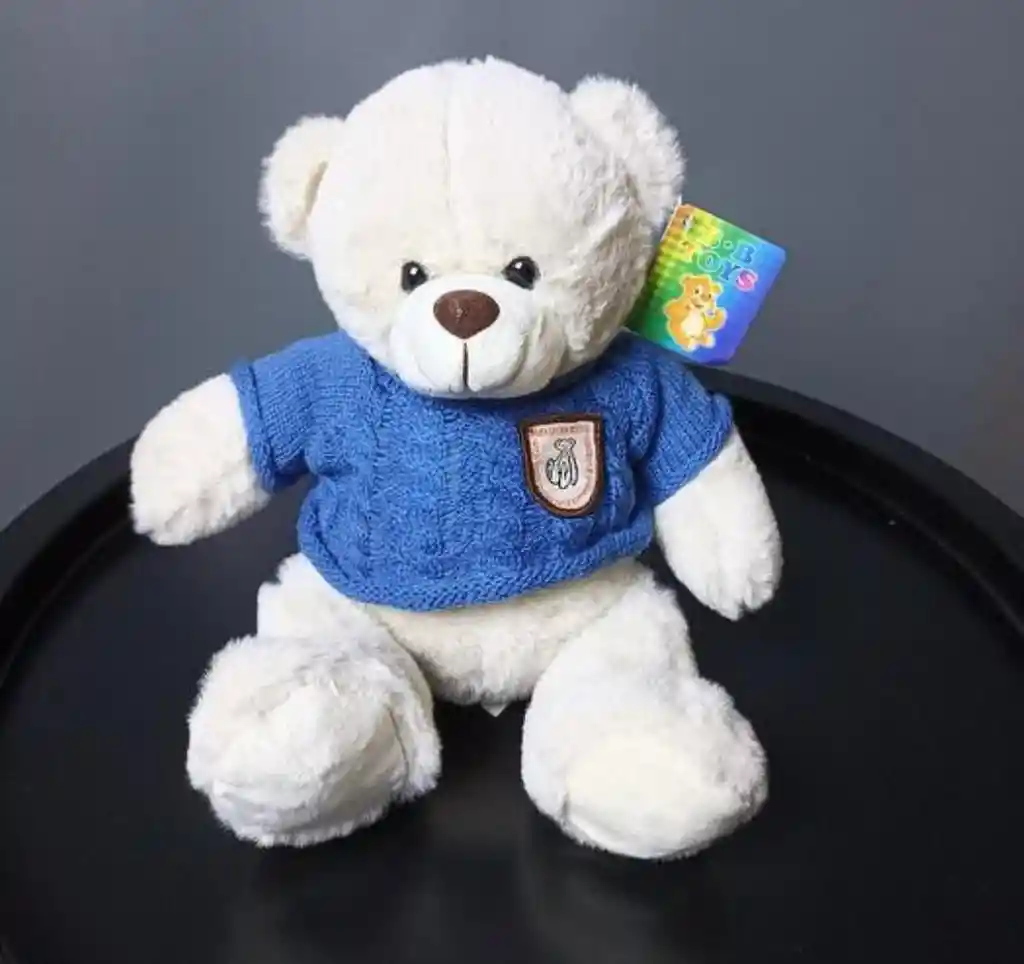 Juguete Peluche Con Diseño De oso Grande