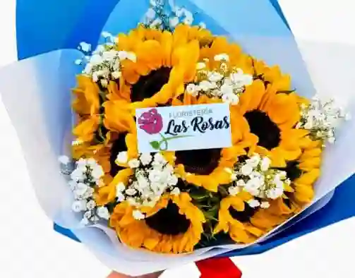 Mini Girasoles Para Regalar