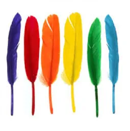 Plumas Medianas De 16cm Aprox