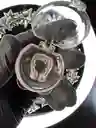 Clip Antironquidos