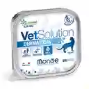 Vetsolution Dermatosis Gato 100g