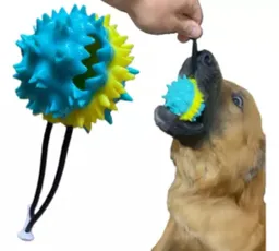 Regalo Juguete Pelota Para Snacks Tira Con Puas