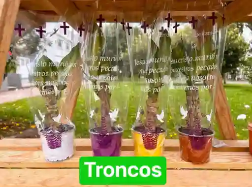 Tronco De La Felicidad