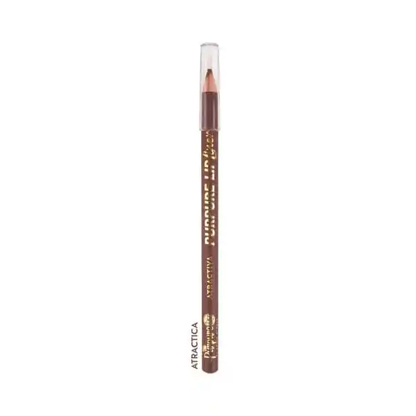 Lapiz De Labios Lipliner Purpure 04