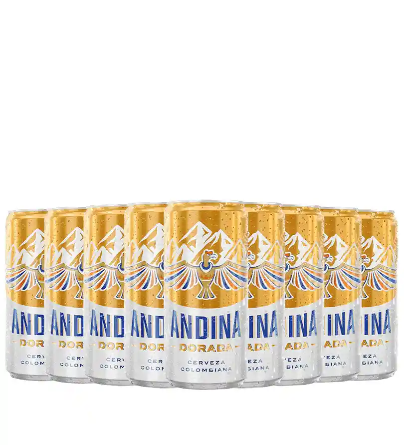 Andina Cerveza Latón X12 Unidades