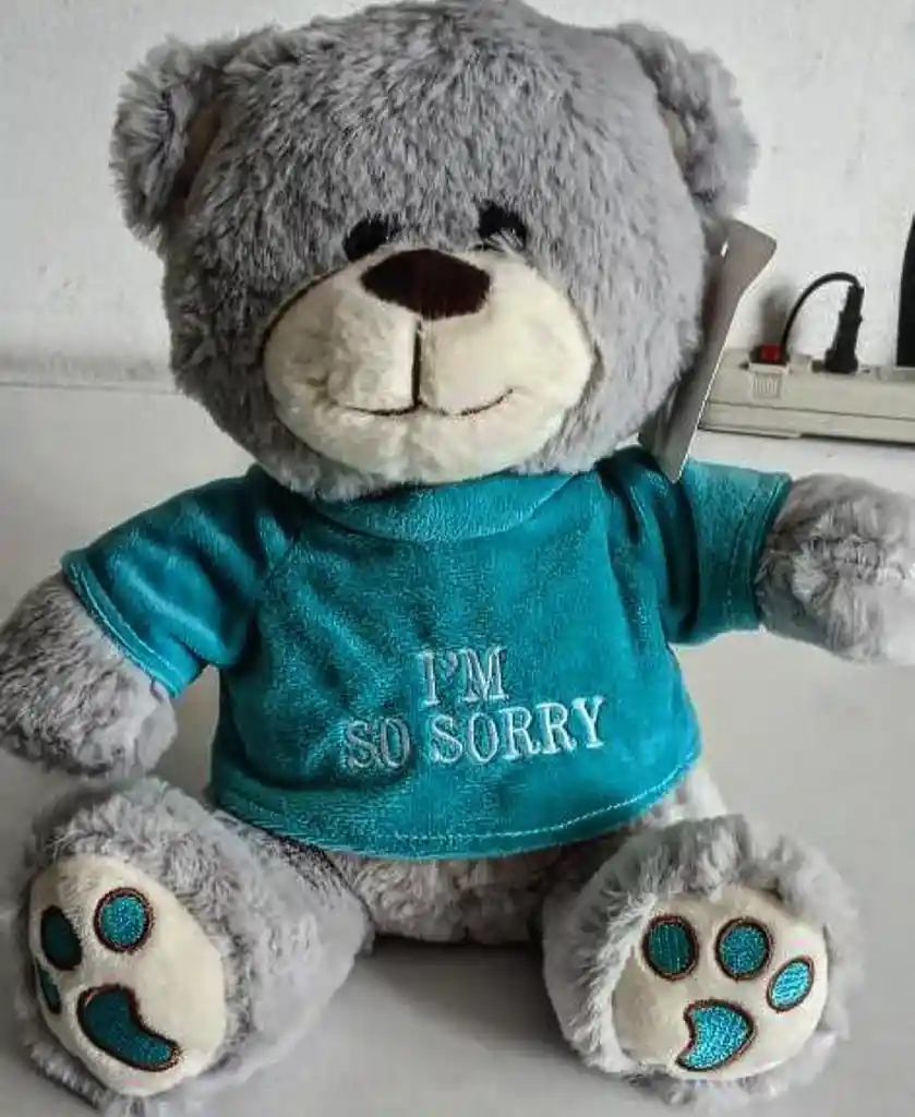 Peluche "im Sorrry"