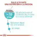 Royal Canin Urinary Care 2 Kg