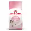 Royal Canin Kitten 2 Kg
