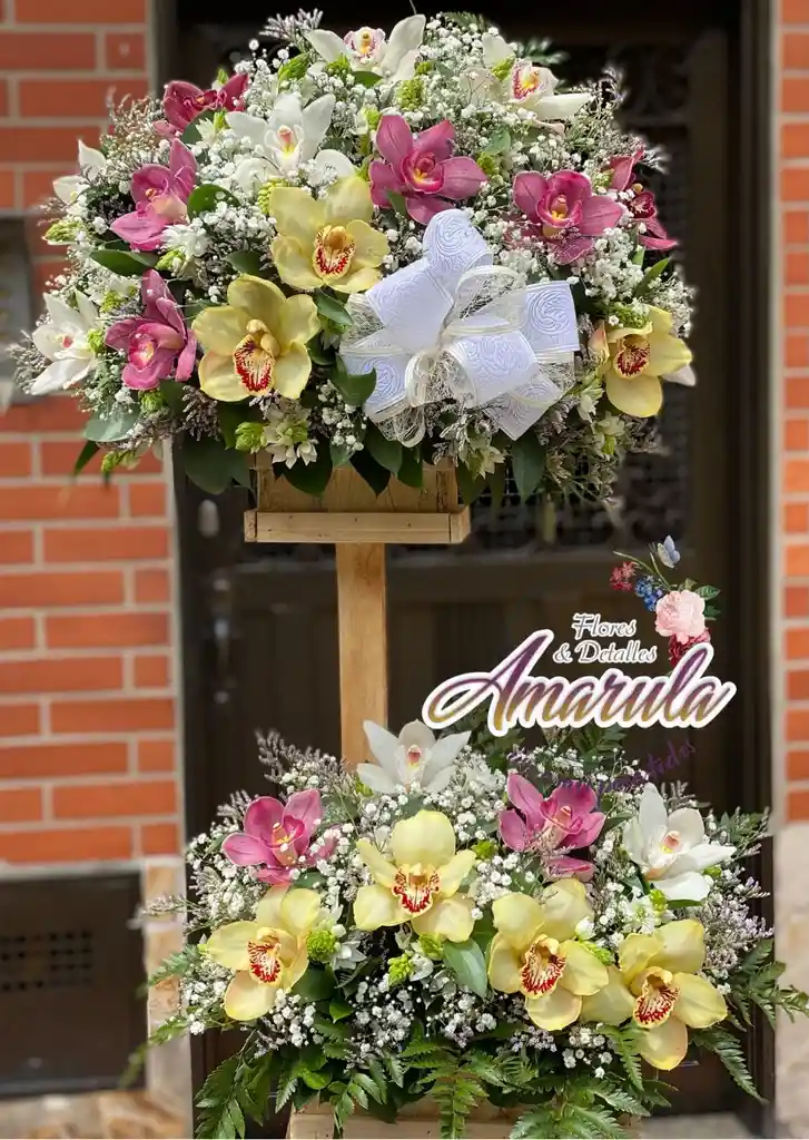 Ramo De Orquidea Doble Base