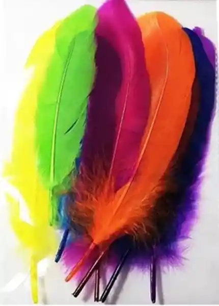 Pluma Artificial Surtida X Paquete