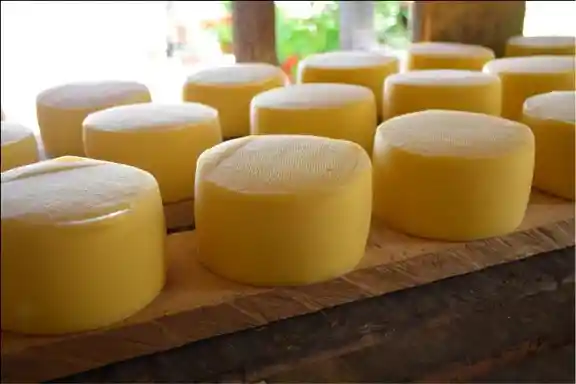 Queso Paipa 21 Días De Maduración Con Denominación De Origen Sotaquirá, Boyacá. 460 Gr
