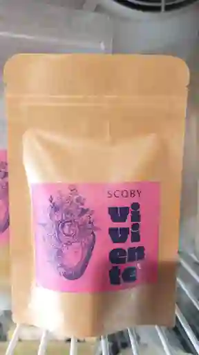 Scoby Vivo Para Kéfir De Agua – Alimenta Tu Microbiota
