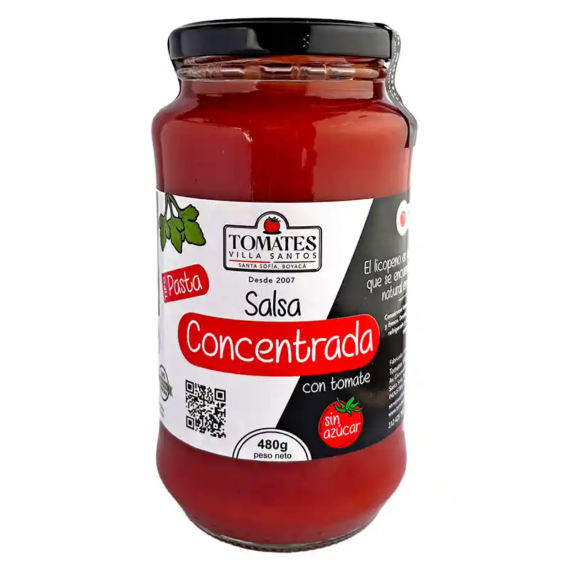 Salsa Concentrada Con Tomate Tipo Pasta 480g Villa Santos