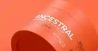 Ancestral Mascarilla De Reparación Poción 350 Ml