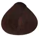 Alfaparf Tinte Revolution Tono 6.53 Rubio Oscuro Caoba Dorado (incluye Peróxido, Guantes Y Tratamiento)