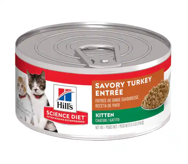 Hills Kitten Savory Turkey Entree