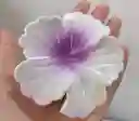 Gancho Para El Cabello En Forma De Flor