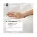 Protector Para Colchon Antifluidos -cama Queen 160200+30cm