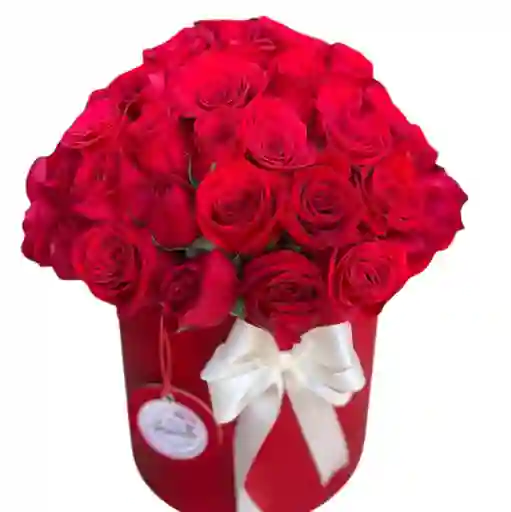 Rosas Rojas En Cilindro