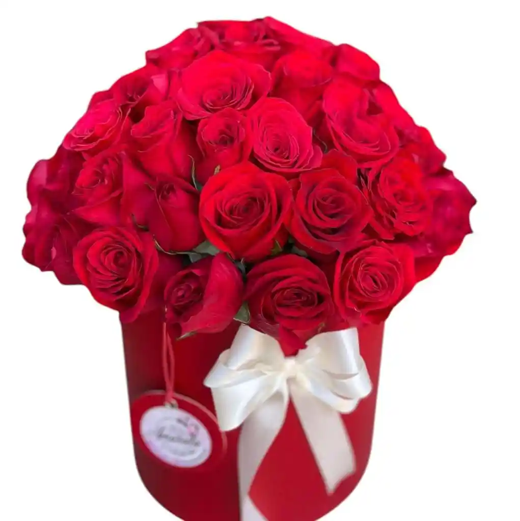 Rosas Rojas En Cilindro