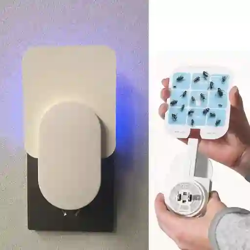 Trampa Para Insectos Voladores Para Interiores