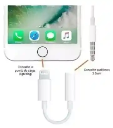 Cable Adaptador De Audio - Convertidor Lightning - Jack