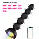Plug Anal Rose Beads App