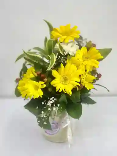 Caja De Gerberas