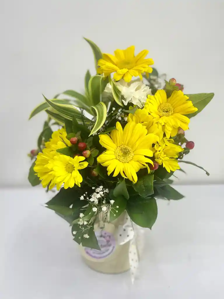 Caja De Gerberas