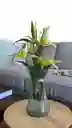 Florero Jarrón De Vidrio (mackay)