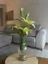 Florero Jarrón De Vidrio (caribe)