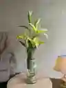 Florero Jarrón De Vidrio (caribe)