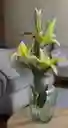 Florero Jarrón De Vidrio (adz)