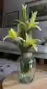 Florero Jarrón De Vidrio (adz)