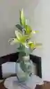 Florero Jarrón De Vidrio (maya)